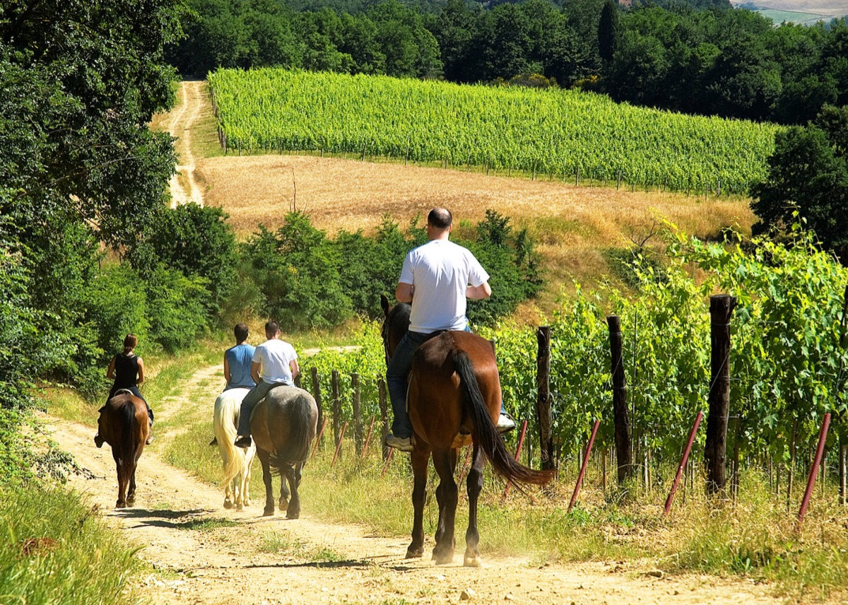 Paesaggio naturale della Tuscia con colline e campagna
